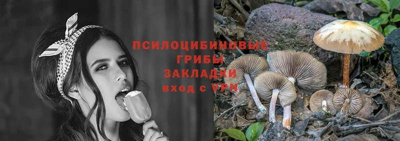 Галлюциногенные грибы Cubensis  Выкса 